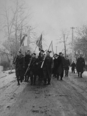 Palánkai partizánok, 1944. november